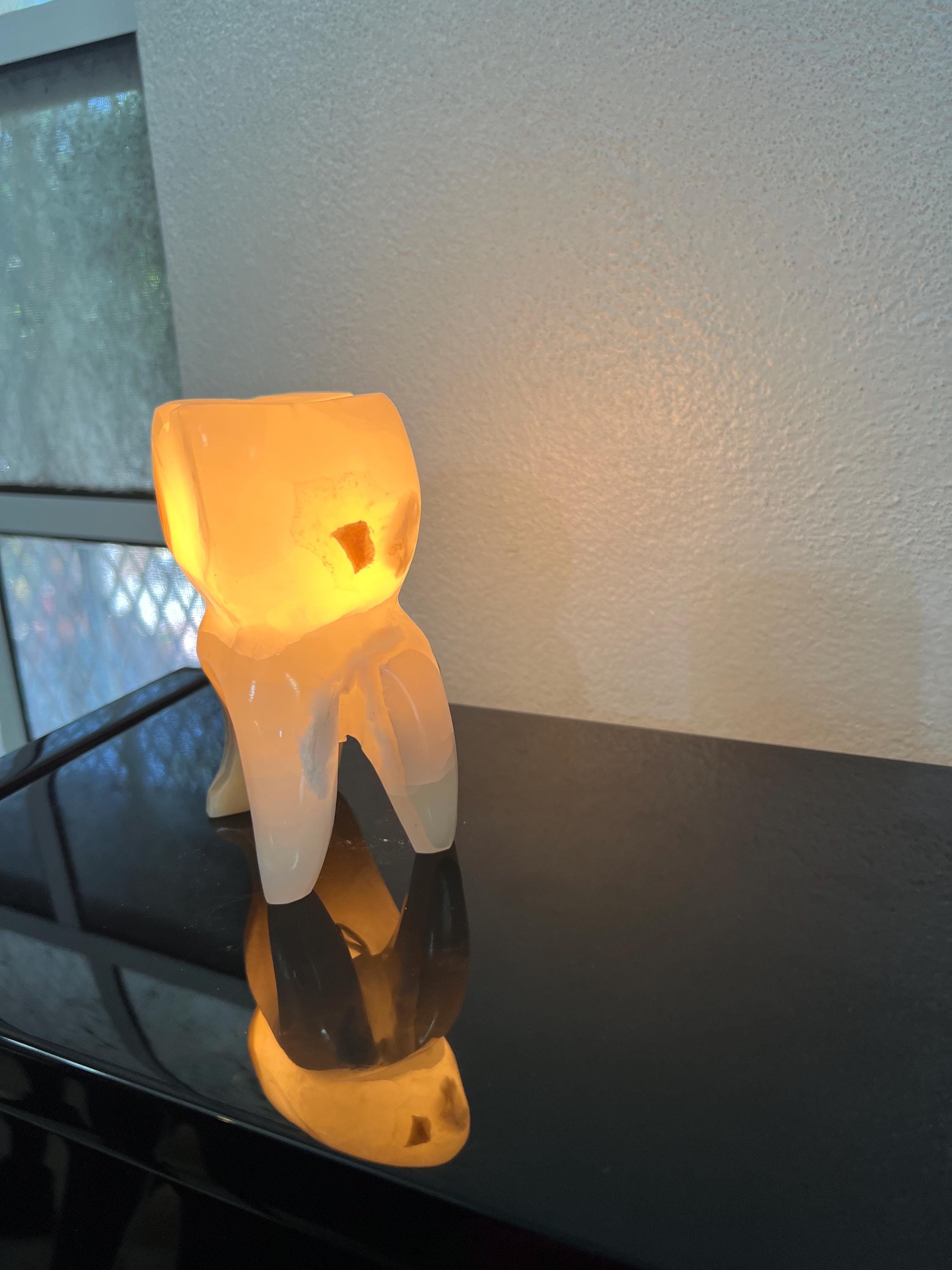 Hand Carved Onyx Tooth Lamp Triple Polished by our crew.