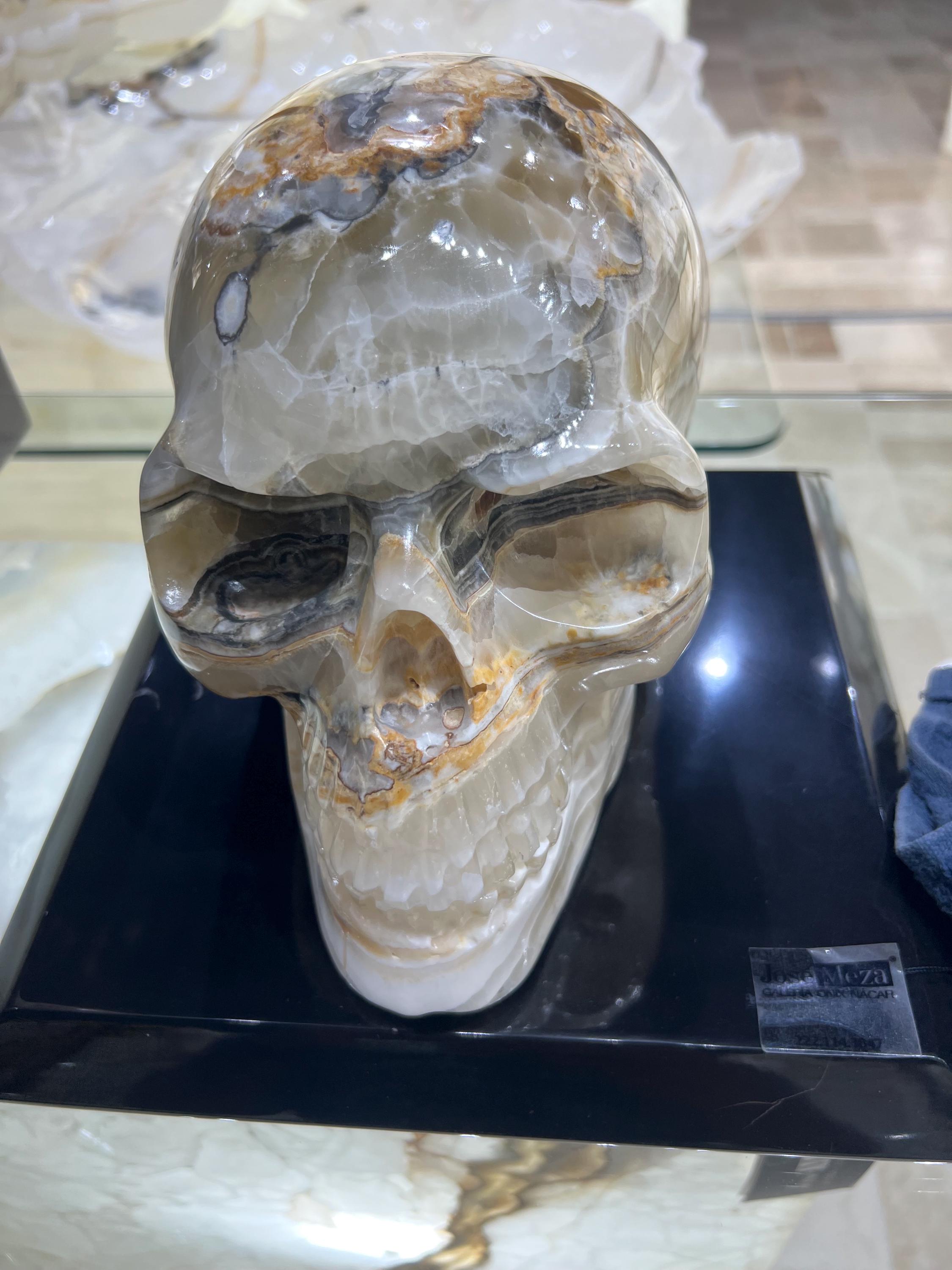 Large Onyx Skull Hand Carved Triple Polished.